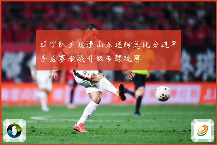 辽宁队主场遭山东逆转总比分追平季后赛激战升级专题观察