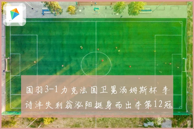国羽3-1力克法国卫冕汤姆斯杯 李诗沣失利翁泓阳挺身而出夺第12冠