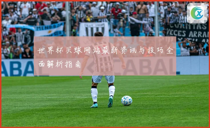 世界杯买球网站最新资讯与技巧全面解析指南